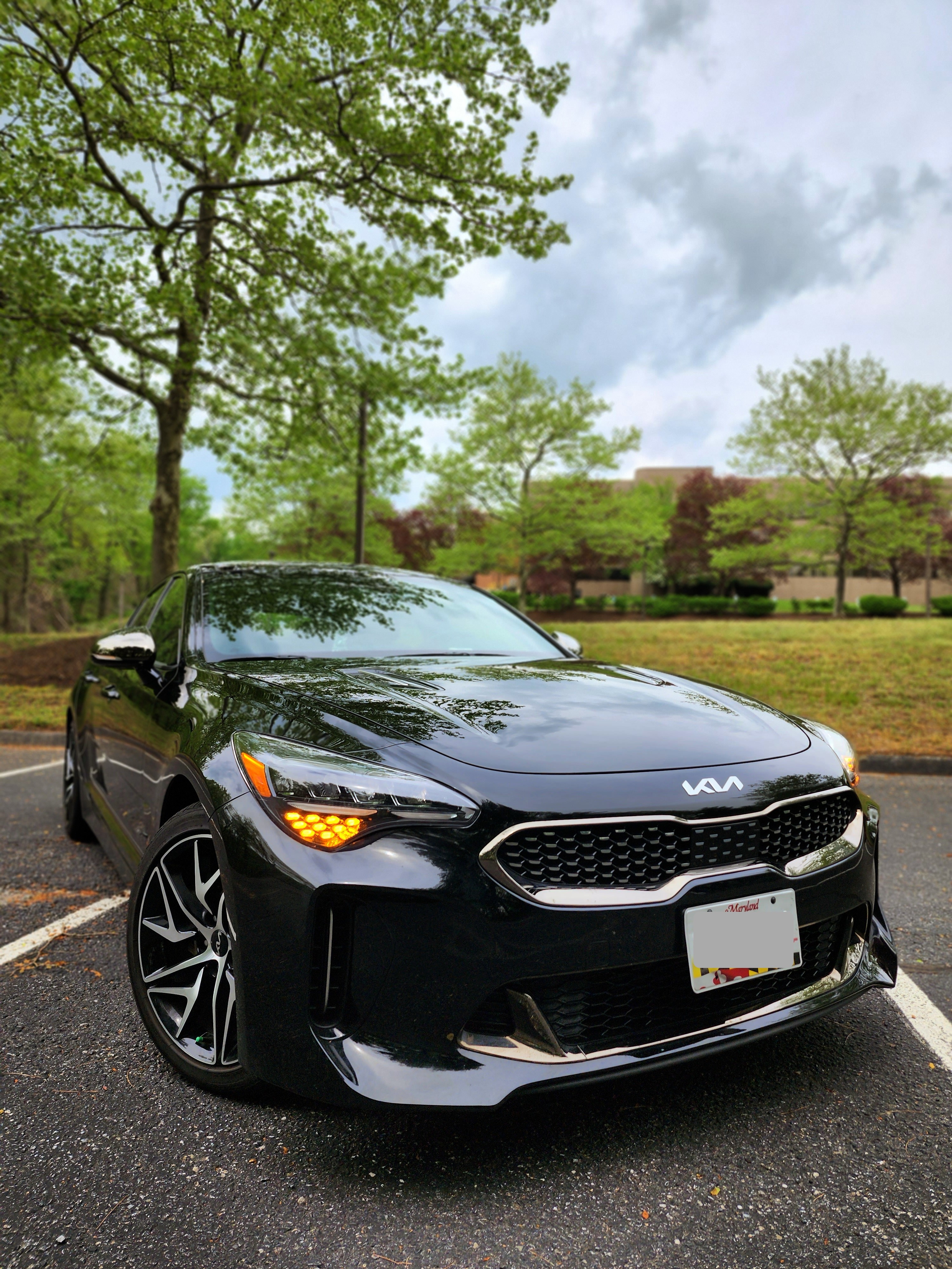 My Kia Stinger